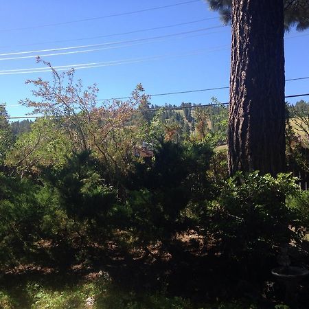 Switzerland Haus Bed And Breakfast Inn Big Bear Lake Eksteriør bilde
