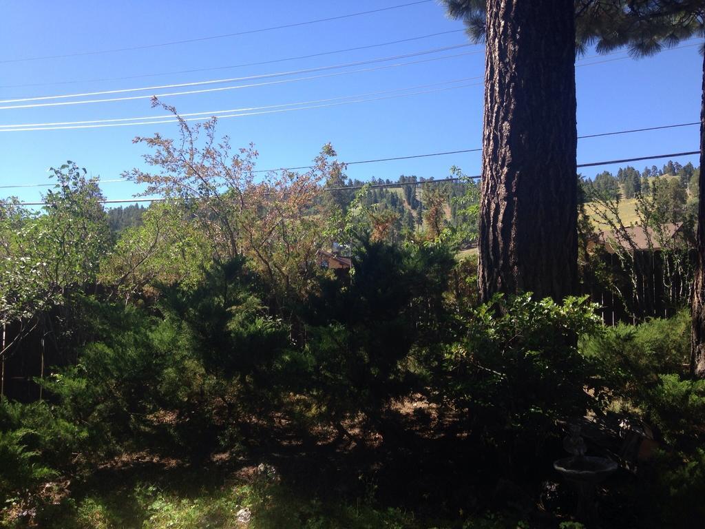Switzerland Haus Bed And Breakfast Inn Big Bear Lake Eksteriør bilde